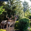 19100 MacAlpine Loop, Bend, OR