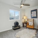 904 Woodbine Dr, Windsor, CO