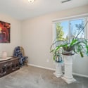 904 Woodbine Dr, Windsor, CO
