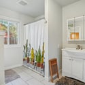 904 Woodbine Dr, Windsor, CO