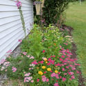 810 Dowlin Forge Road, Downingtown, PA
