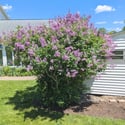 810 Dowlin Forge Road, Downingtown, PA