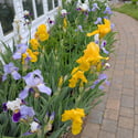 810 Dowlin Forge Road, Downingtown, PA