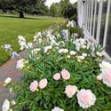 810 Dowlin Forge Road, Downingtown, PA
