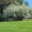 810 Dowlin Forge Road, Downingtown, PA