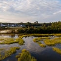 321 Bayley Road, Daniel Island, SC