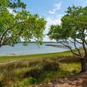 401 Wayfaring Point, Daniel Island, SC