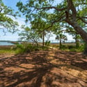 401 Wayfaring Point, Daniel Island, SC