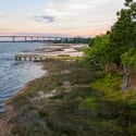 401 Wayfaring Point, Daniel Island, SC
