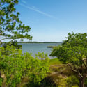 401 Wayfaring Point, Daniel Island, SC