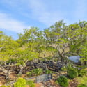 847 Dunham Street, Daniel Island, SC