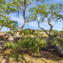 847 Dunham Street, Daniel Island, SC