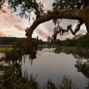 847 Dunham Street, Daniel Island, SC
