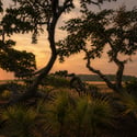 847 Dunham Street, Daniel Island, SC