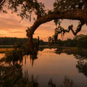 847 Dunham Street, Daniel Island, SC