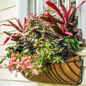 54 Dalton Street, Daniel Island, SC
