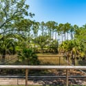 215 Fell Point, Daniel Island, SC