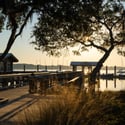 215 Fell Point, Daniel Island, SC