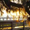 214 Fell Point, Daniel Island, SC