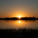 214 Fell Point, Daniel Island, SC