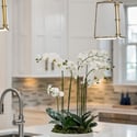 635 Island Park Drive, Daniel Island, SC