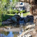 3125 Terra Granada Dr #3, Walnut Creek, CA