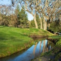 3125 Terra Granada Dr #3, Walnut Creek, CA