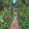 2046 Cordes Street, Osprey, FL