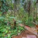 2046 Cordes Street, Osprey, FL