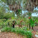 2046 Cordes Street, Osprey, FL