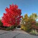 7578 Crestview Drive, Niwot, CO
