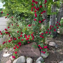 7578 Crestview Drive, Niwot, CO