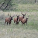 7578 Crestview Drive, Niwot, CO