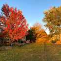 7578 Crestview Drive, Niwot, CO