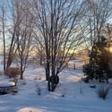 7578 Crestview Drive, Niwot, CO