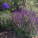 7578 Crestview Drive, Niwot, CO