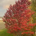 7578 Crestview Drive, Niwot, CO