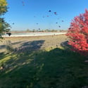 7578 Crestview Drive, Niwot, CO