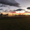 7578 Crestview Drive, Niwot, CO
