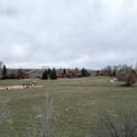 7720 Manila Place, Niwot, CO