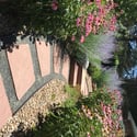 6647 Apache court, Niwot, CO