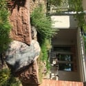 6647 Apache court, Niwot, CO