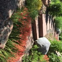 6647 Apache court, Niwot, CO