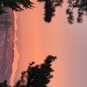 6647 Apache court, Niwot, CO