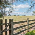 6624 Cherokee Court, Niwot, CO