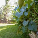 1189 Hawk Ridge Road, Lafayette, CO
