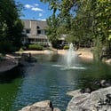 Pond View from Dining Room
