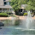 Pond View from Office