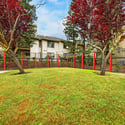 Lawn in the Gated Pool Area