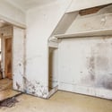 143 Prospect Ave, San Francisco, CA